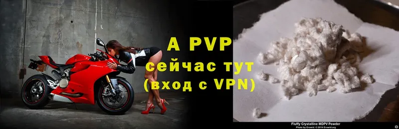 A PVP СК Каменногорск