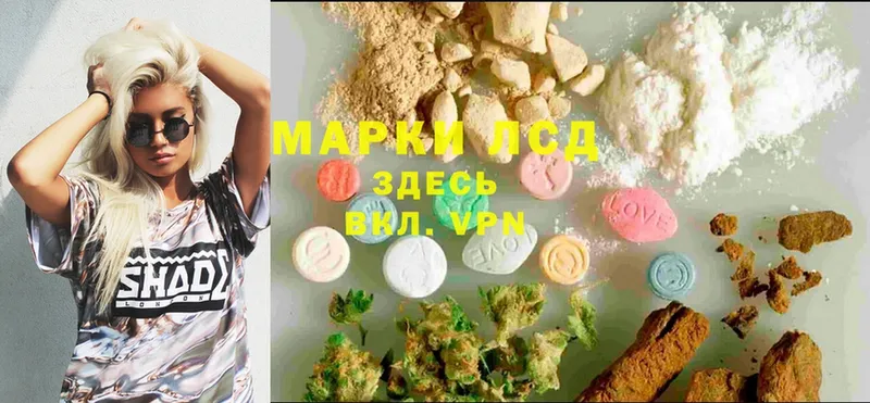 где найти   мега как войти  LSD-25 экстази ecstasy  Каменногорск 